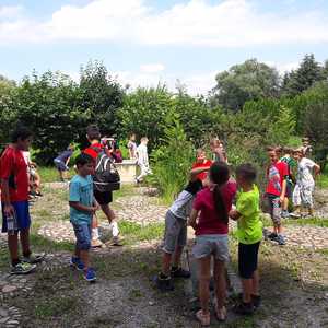 Foto: Sandra Steiner